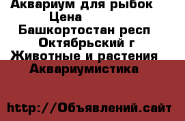 Аквариум для рыбок  › Цена ­ 2 000 - Башкортостан респ., Октябрьский г. Животные и растения » Аквариумистика   